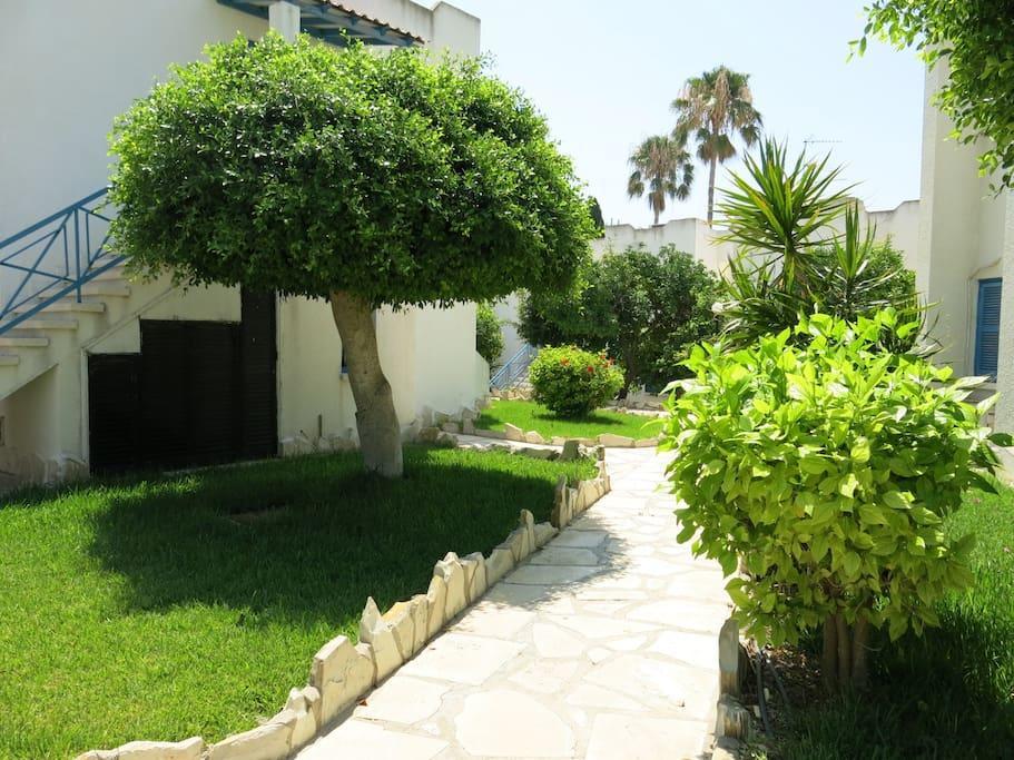 Dhekelia Diamond Apartment Larnaca Exterior foto